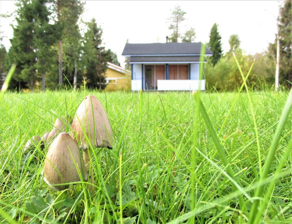 Scandinavian Dream Cottages Vikajarvi- Rovaniemi Buitenkant foto