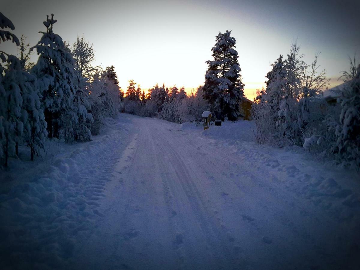 Scandinavian Dream Cottages Vikajarvi- Rovaniemi Buitenkant foto