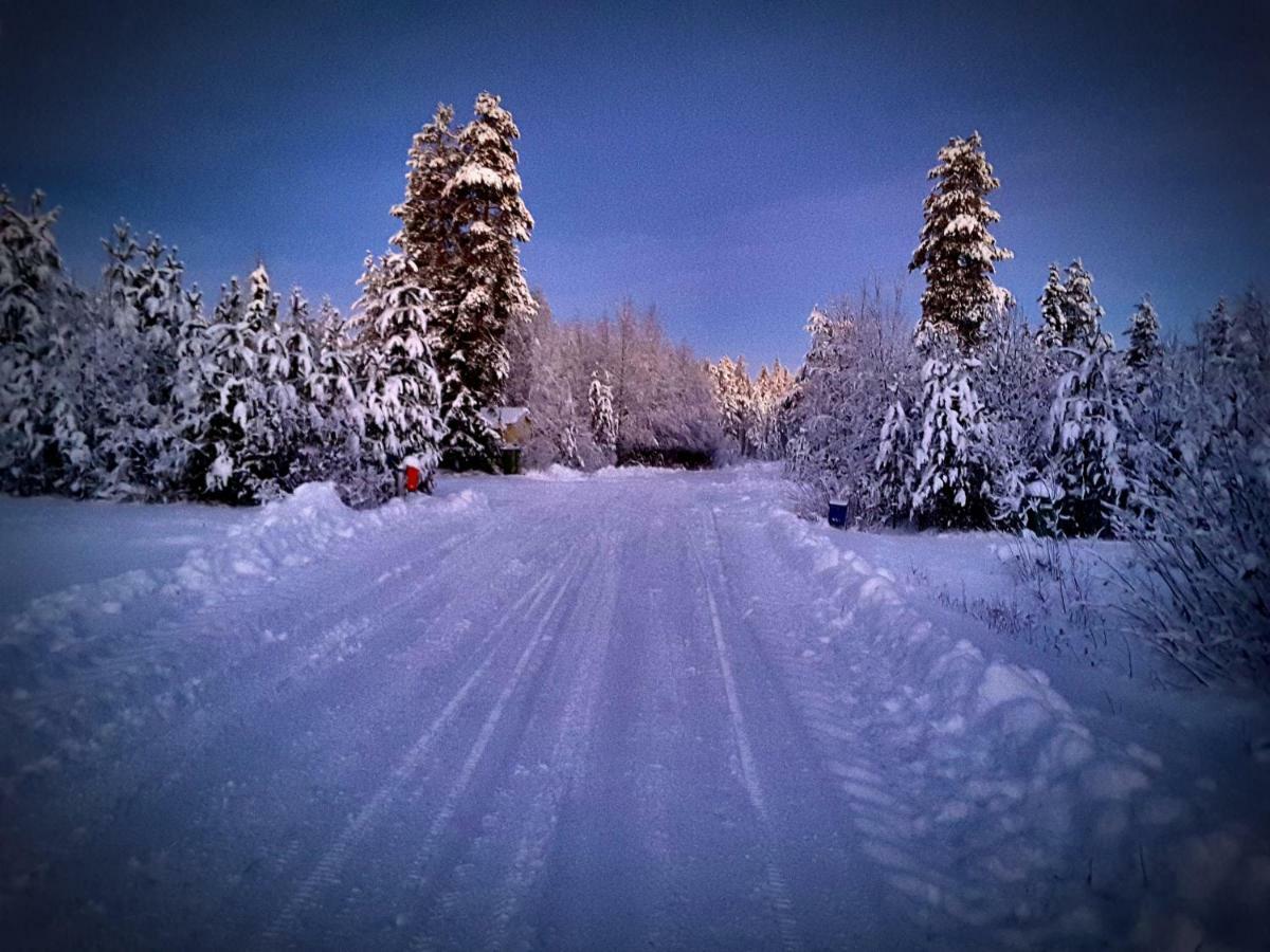 Scandinavian Dream Cottages Vikajarvi- Rovaniemi Buitenkant foto
